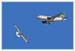 30001_Bird_airplane