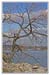 31006_Alexandria_4