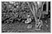 10010_Alexandria_3