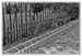 10011_Alexandria_4